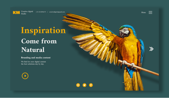 Landing page d'un site sur les oiseaux créer pour le portfolio